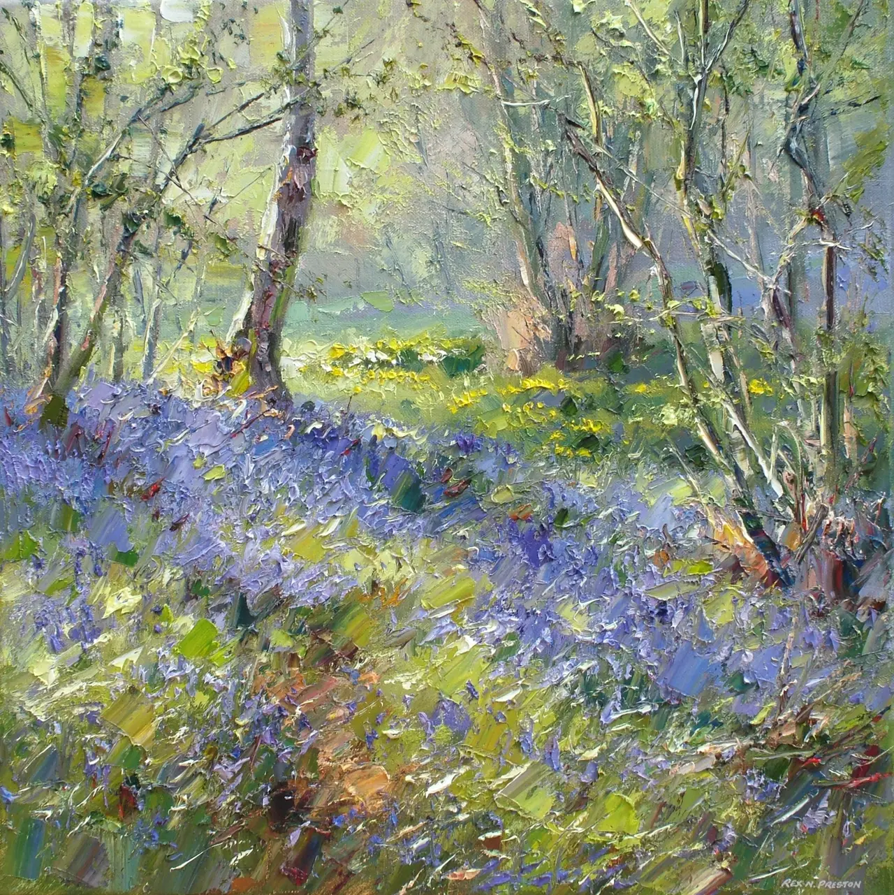 Rex Preston - spring sunlight, clough wood