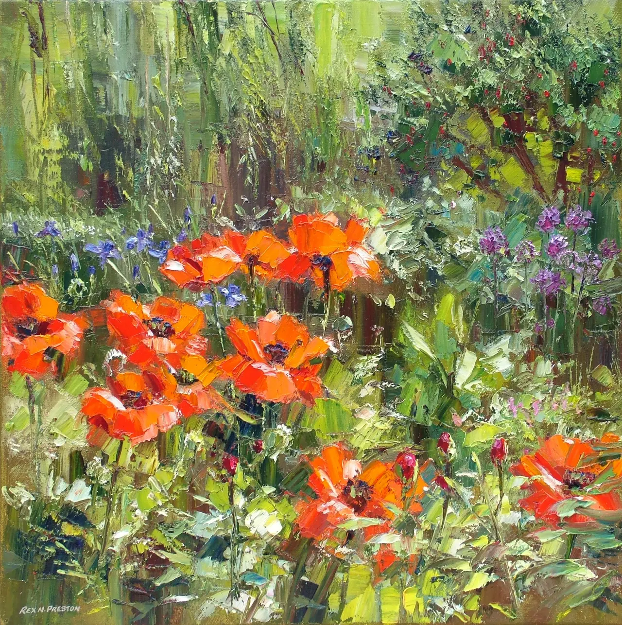 Rex Preston - garden poppies