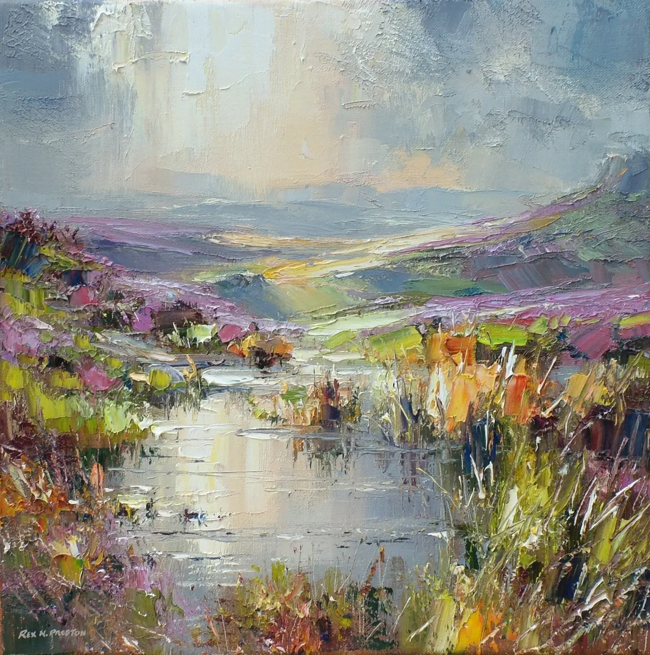 Rex Preston - reflected light, burbage moor