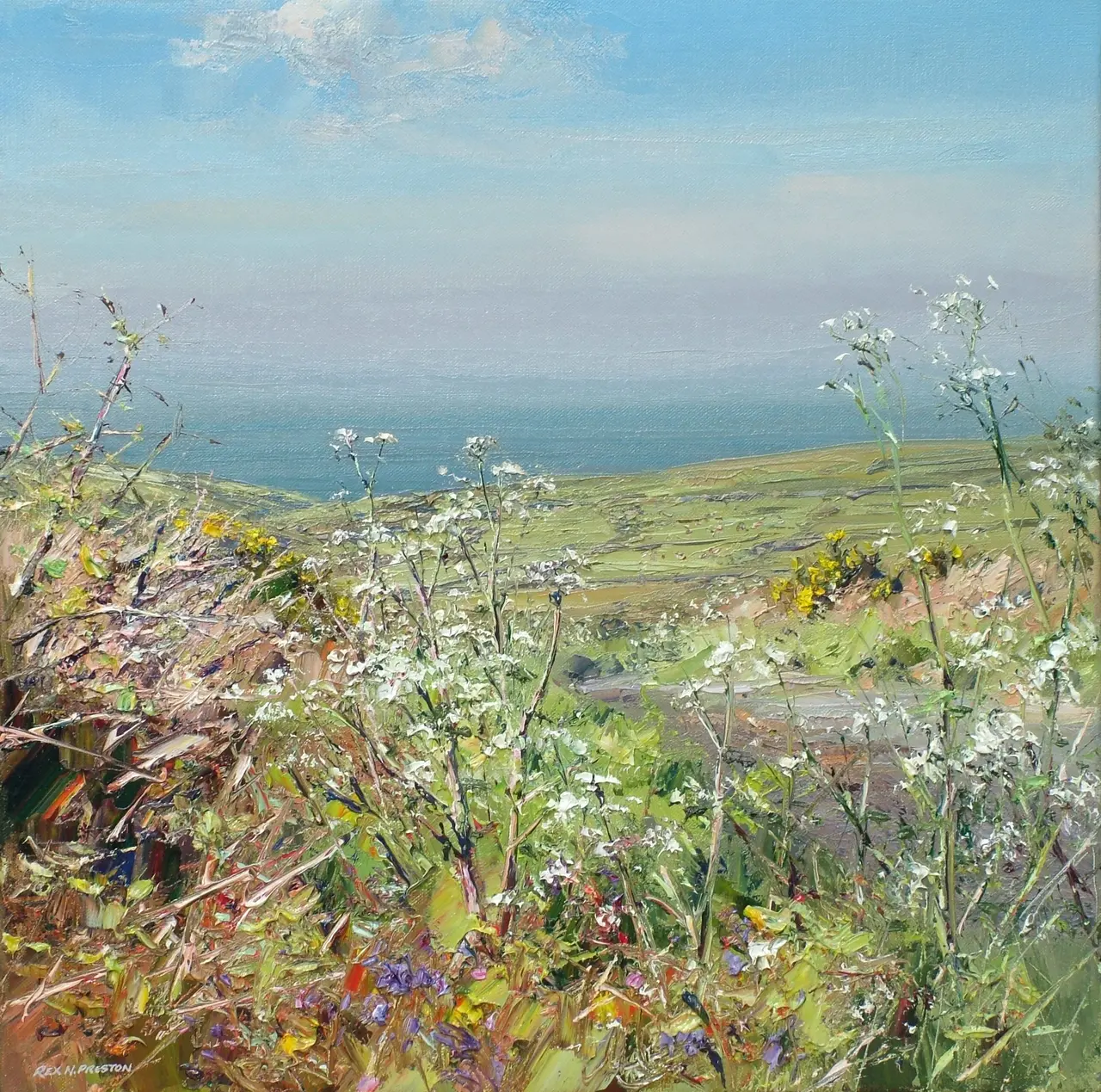 Rex Preston - cow parsley, west cornwall