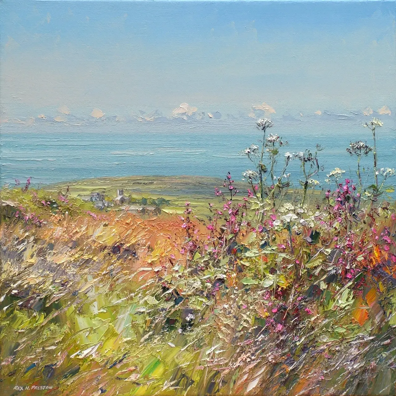 Rex Preston - summer morning near morvah, cornwall