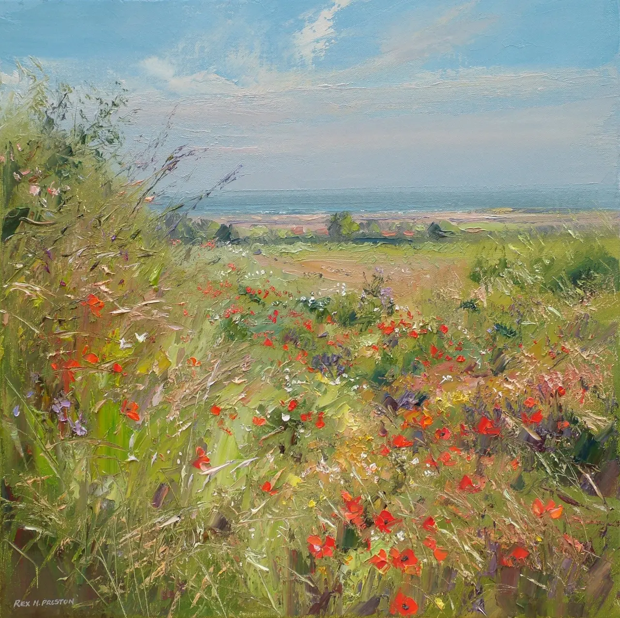 Rex Preston - north norfolk poppies