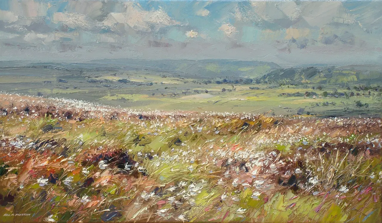 Rex Preston - cotton grass, longstone moor, derbyshire