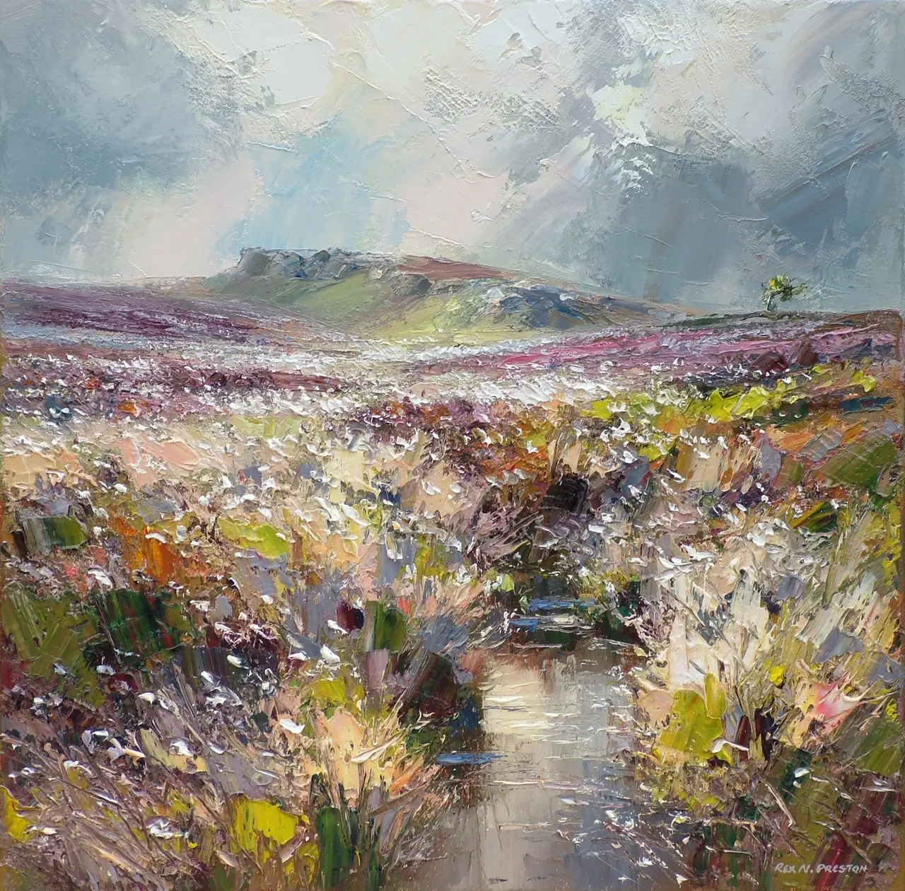 Rex Preston - cotton grass near stanage edge, derbyshire