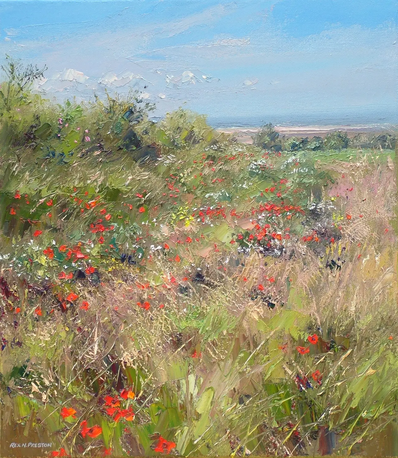 Rex Preston - wild summer flowers, thornham, norfolk