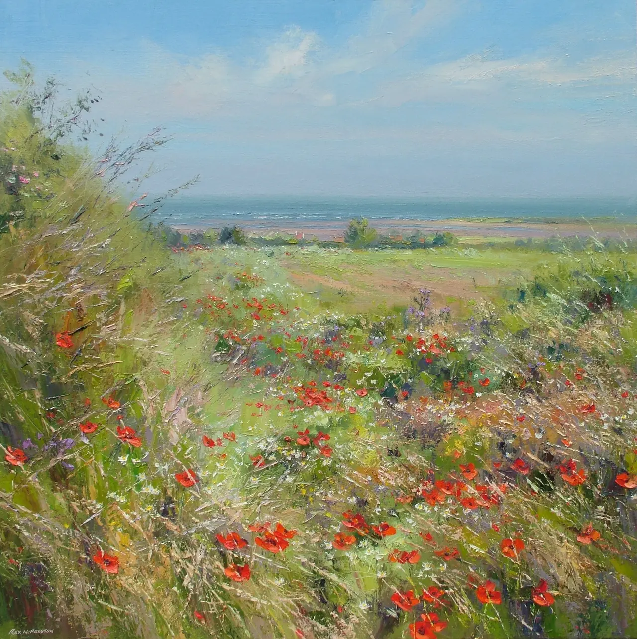 Rex Preston - wild flowers, north norfolk