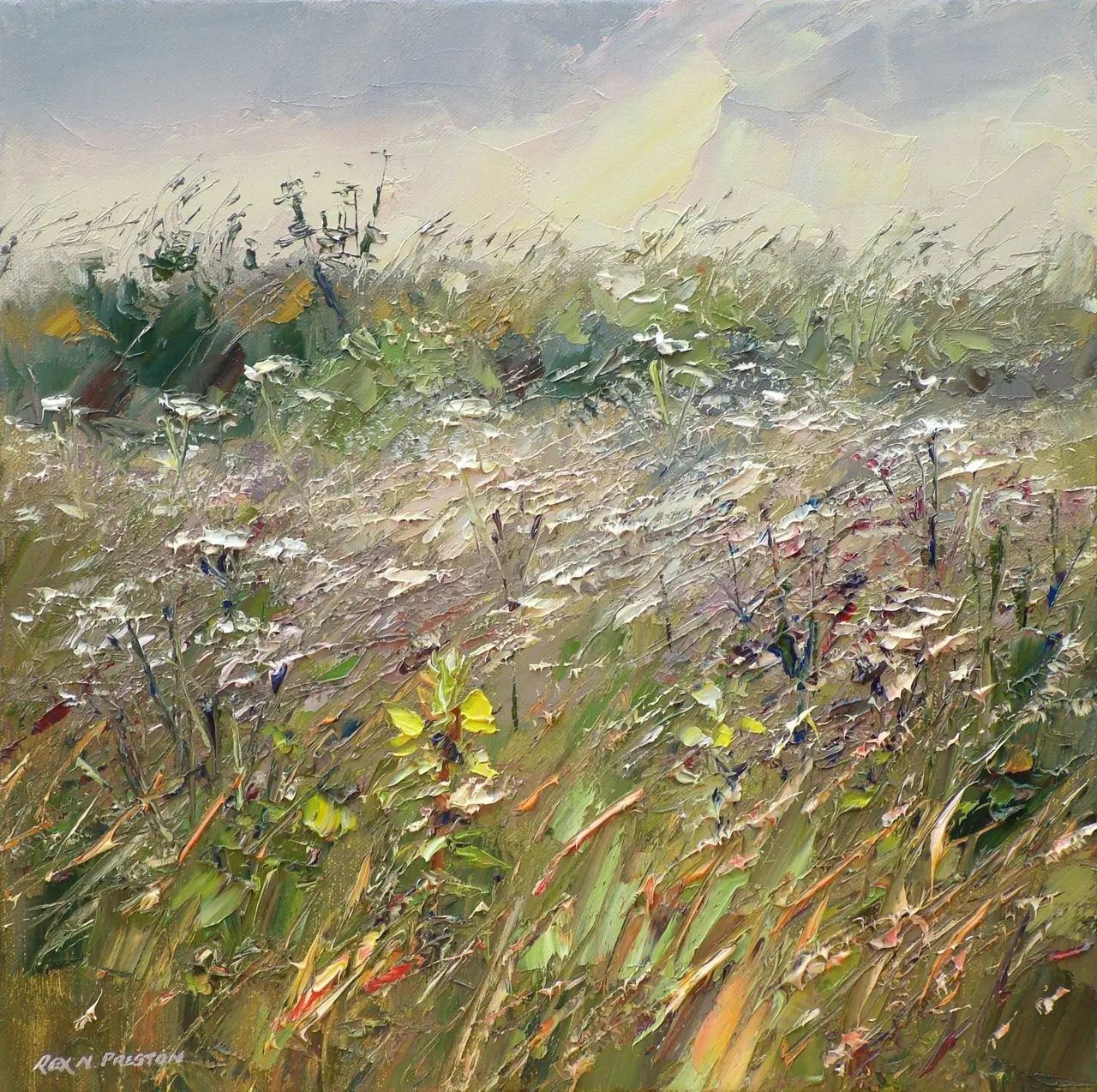 Rex Preston - wild coastal garden