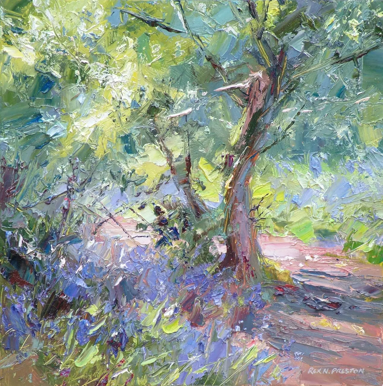 Rex Preston - sunlit pathway