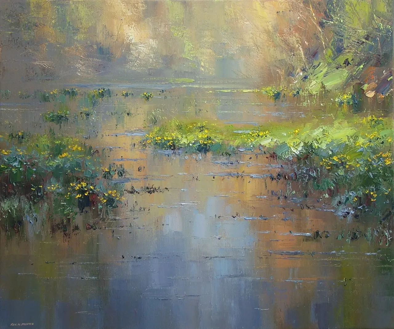 Rex Preston - marsh marigolds in the late afternoon light