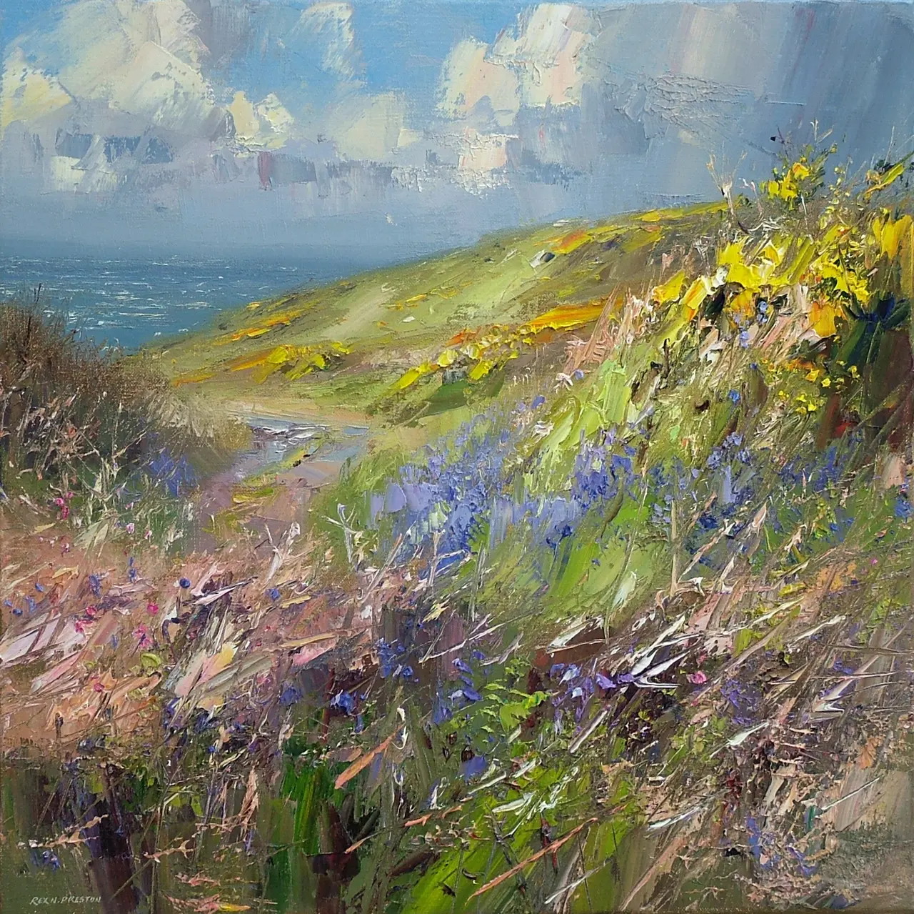 Rex Preston - coastal path, west cornwall 