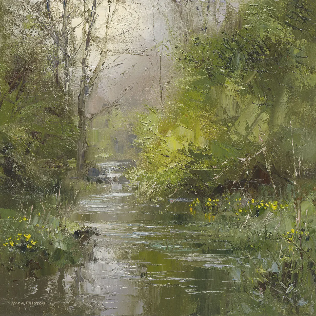 Rex Preston - marsh marigolds