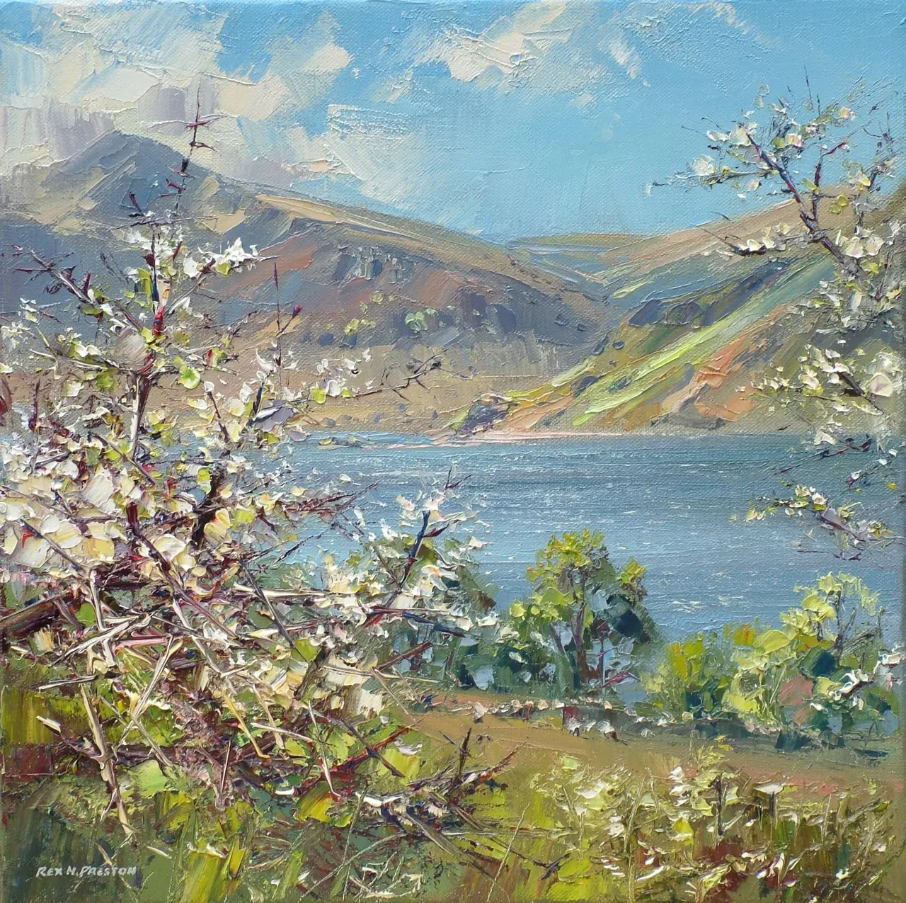 Rex Preston - spring, crummock water