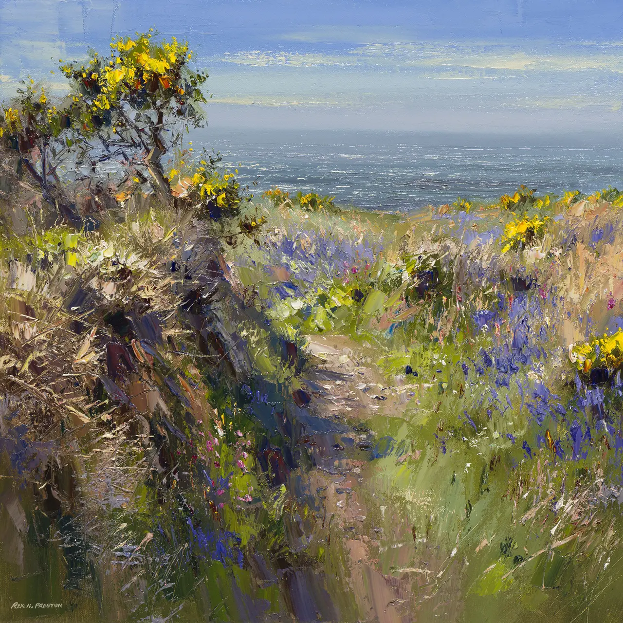 Rex Preston - sunny spring day