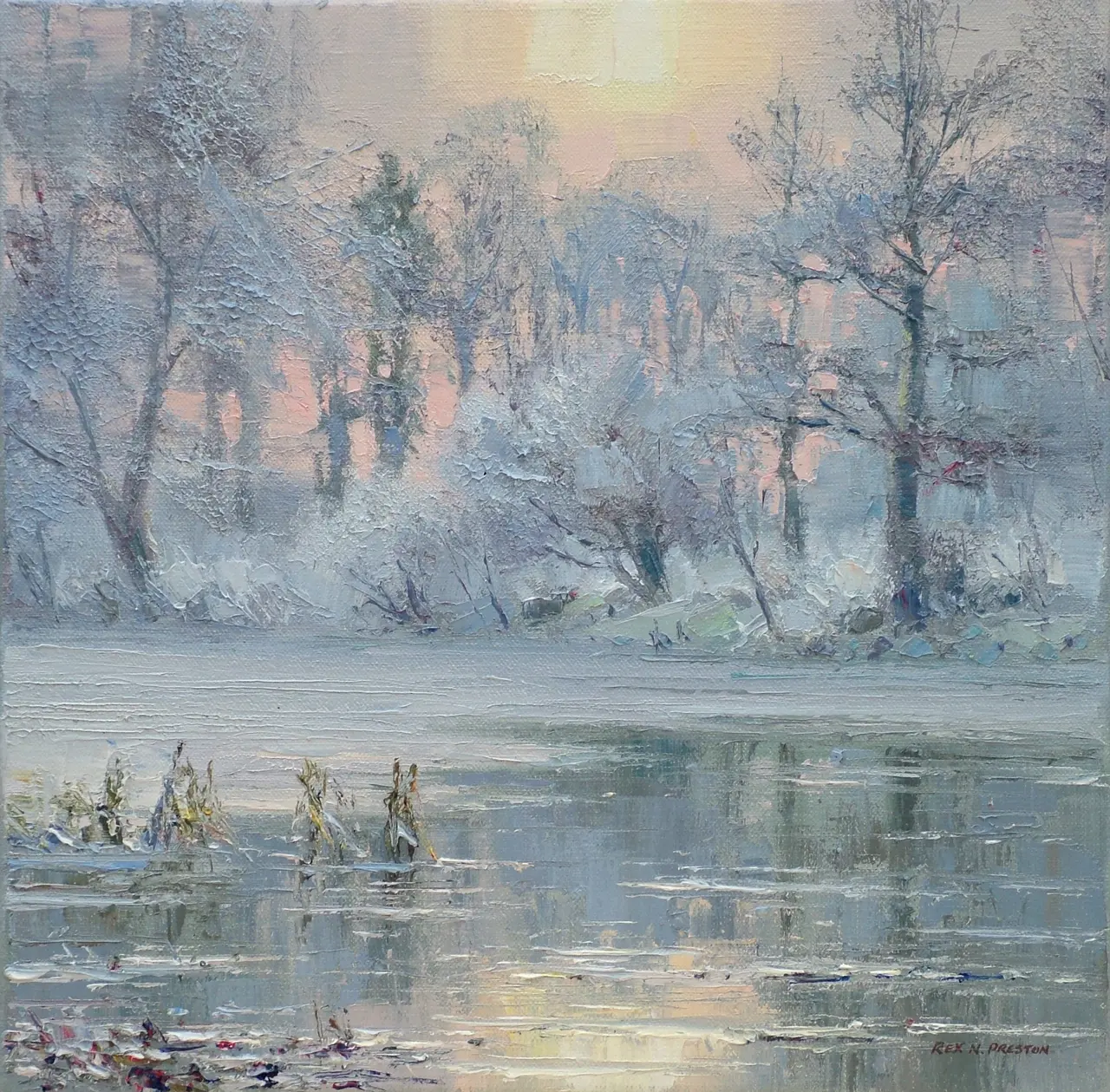 Rex Preston - winter sun