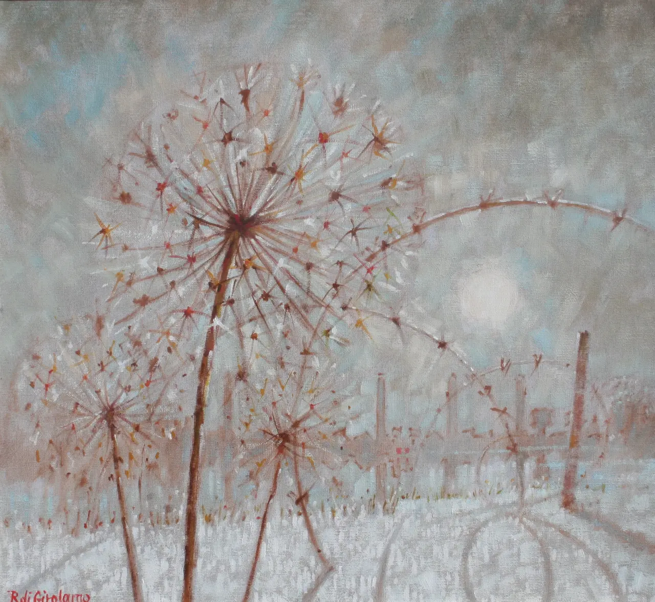 Romeo di Girolamo - soft winter shadows