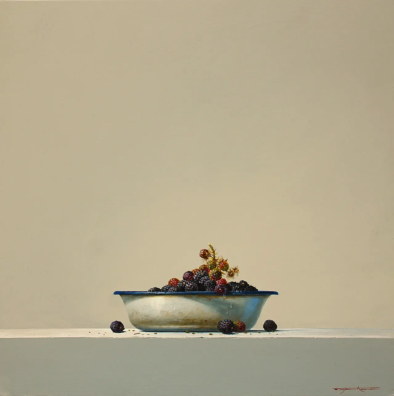 Bryan Hanlon - blackberries and enamel bowl