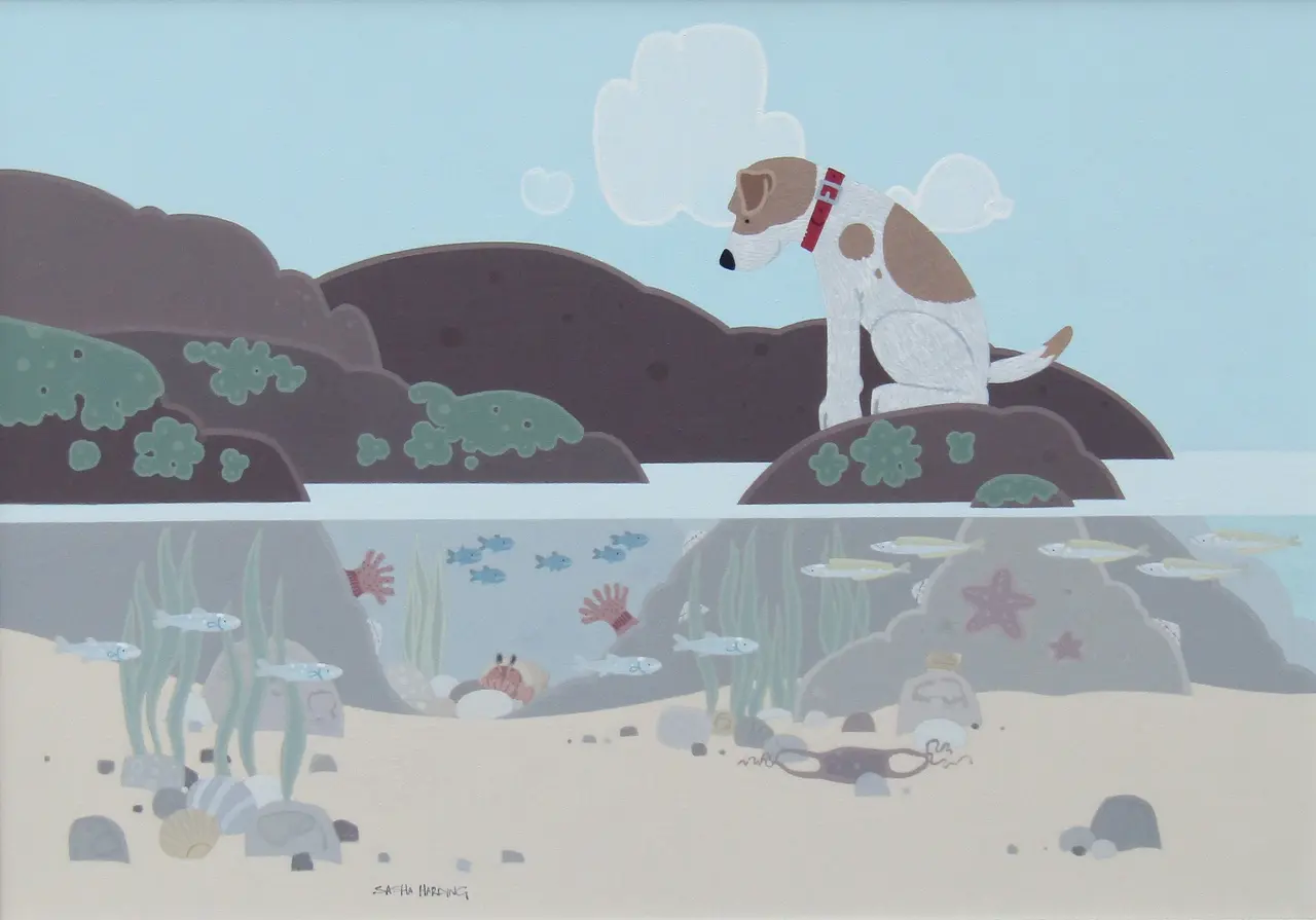 Sasha Harding - sea life