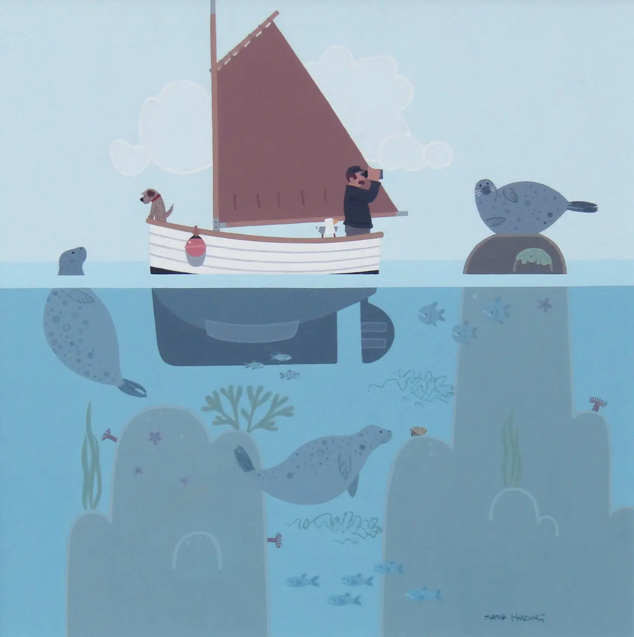 Sasha Harding - seal watching ll