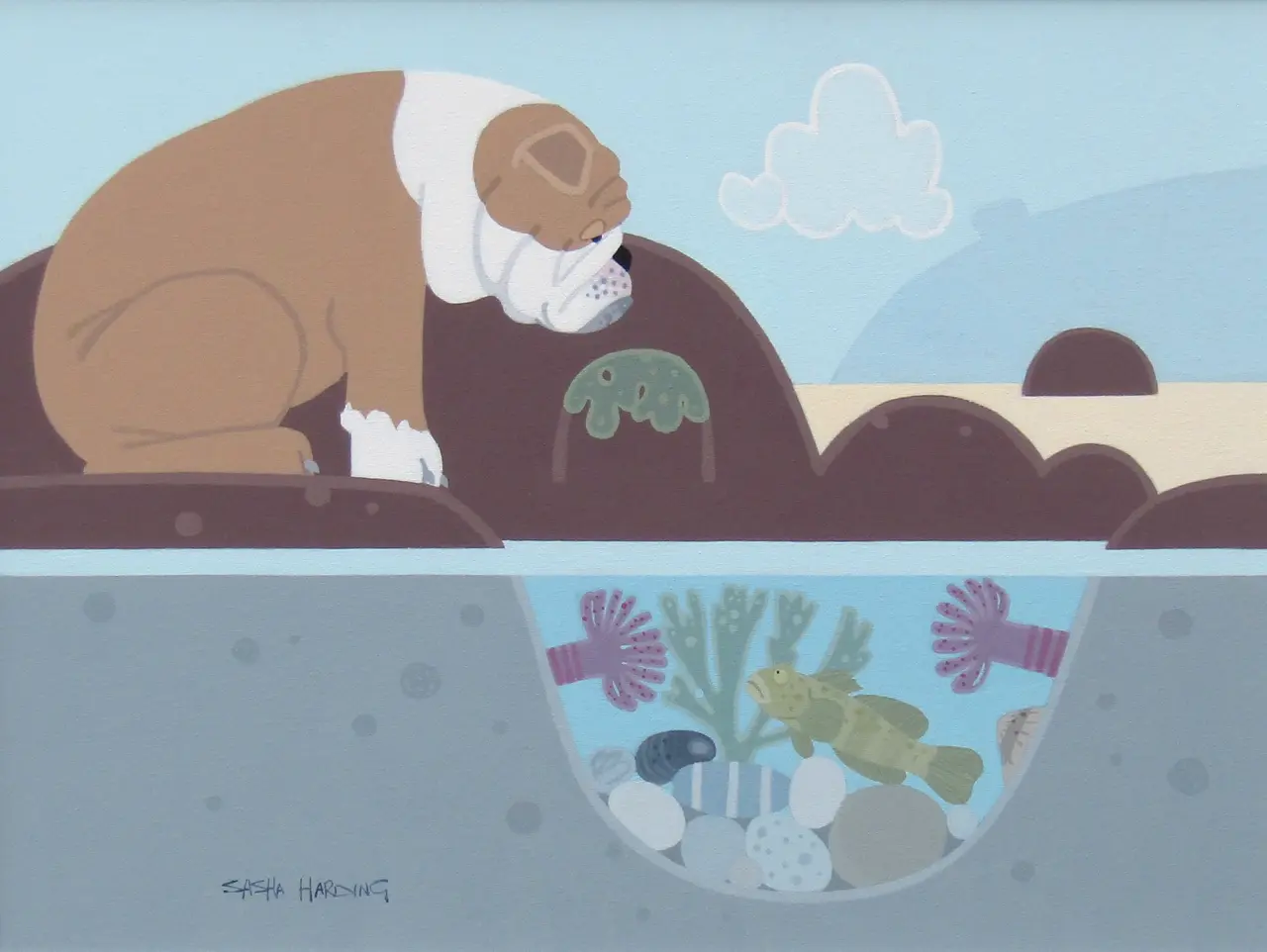 Sasha Harding - the bulldog and the goby
