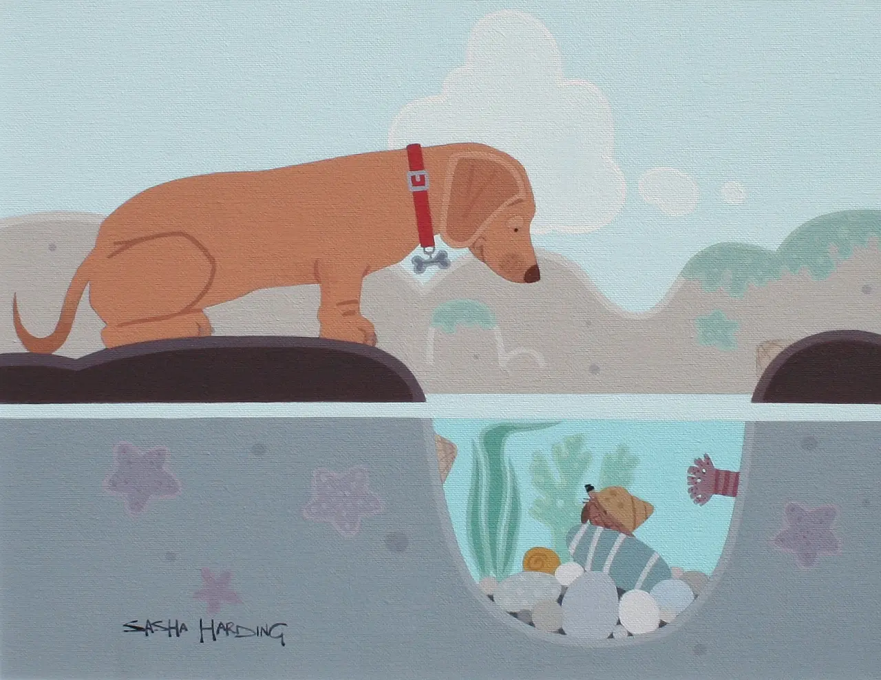 Sasha Harding - peanut and the hermit crab