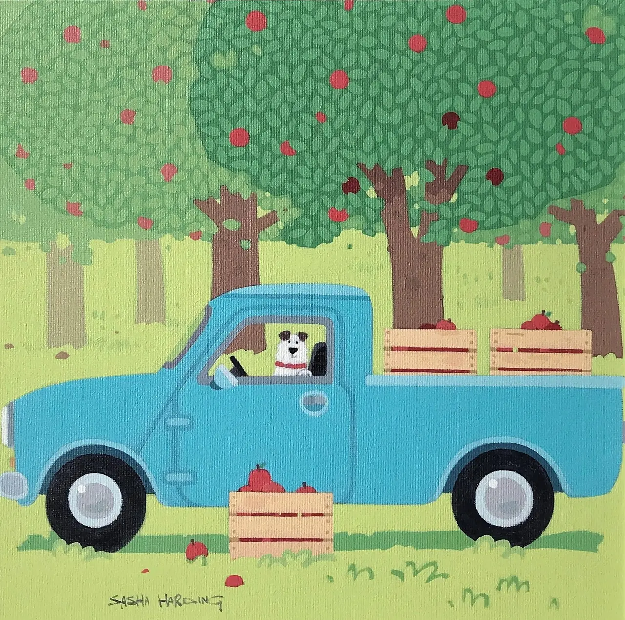 Sasha Harding - cider