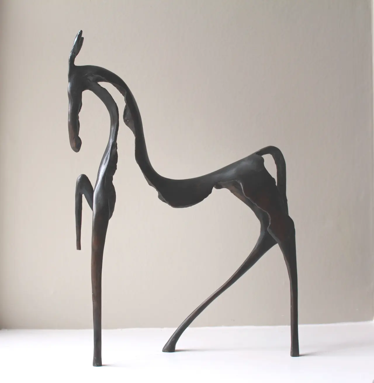 Stanley Dove - circus horse