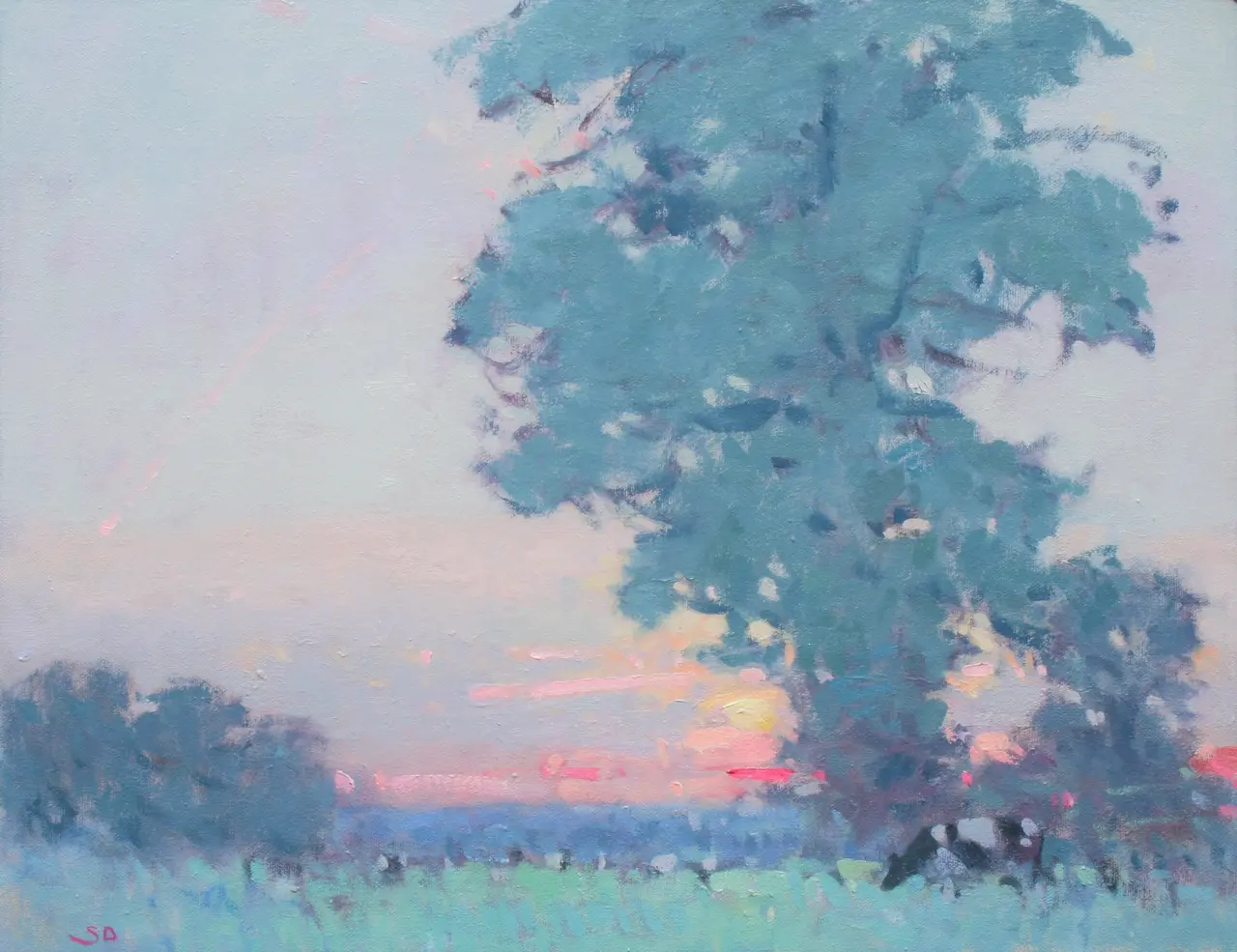 Stephen Brown - sunset, somerset
