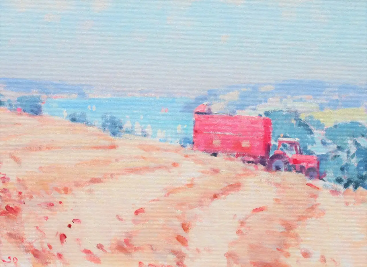 Stephen Brown - salcombe estuary
