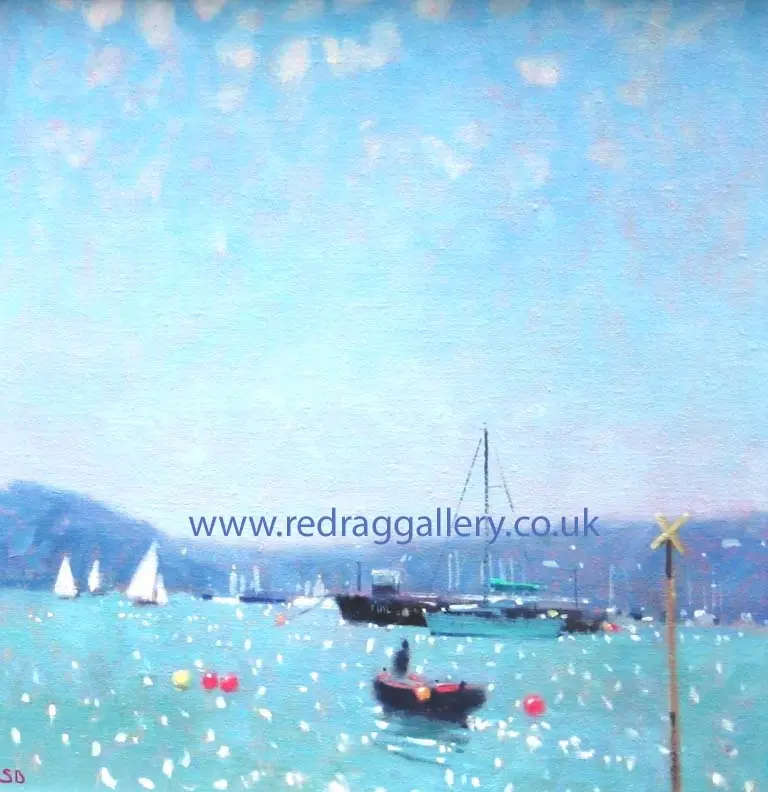 Stephen Brown - salcombe sparkle