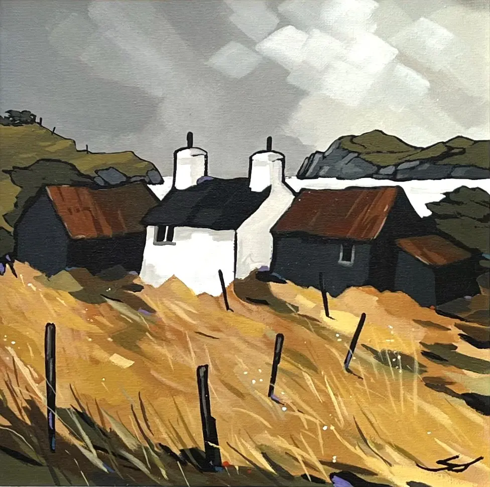 Stephen John Owen - ty cwyfan