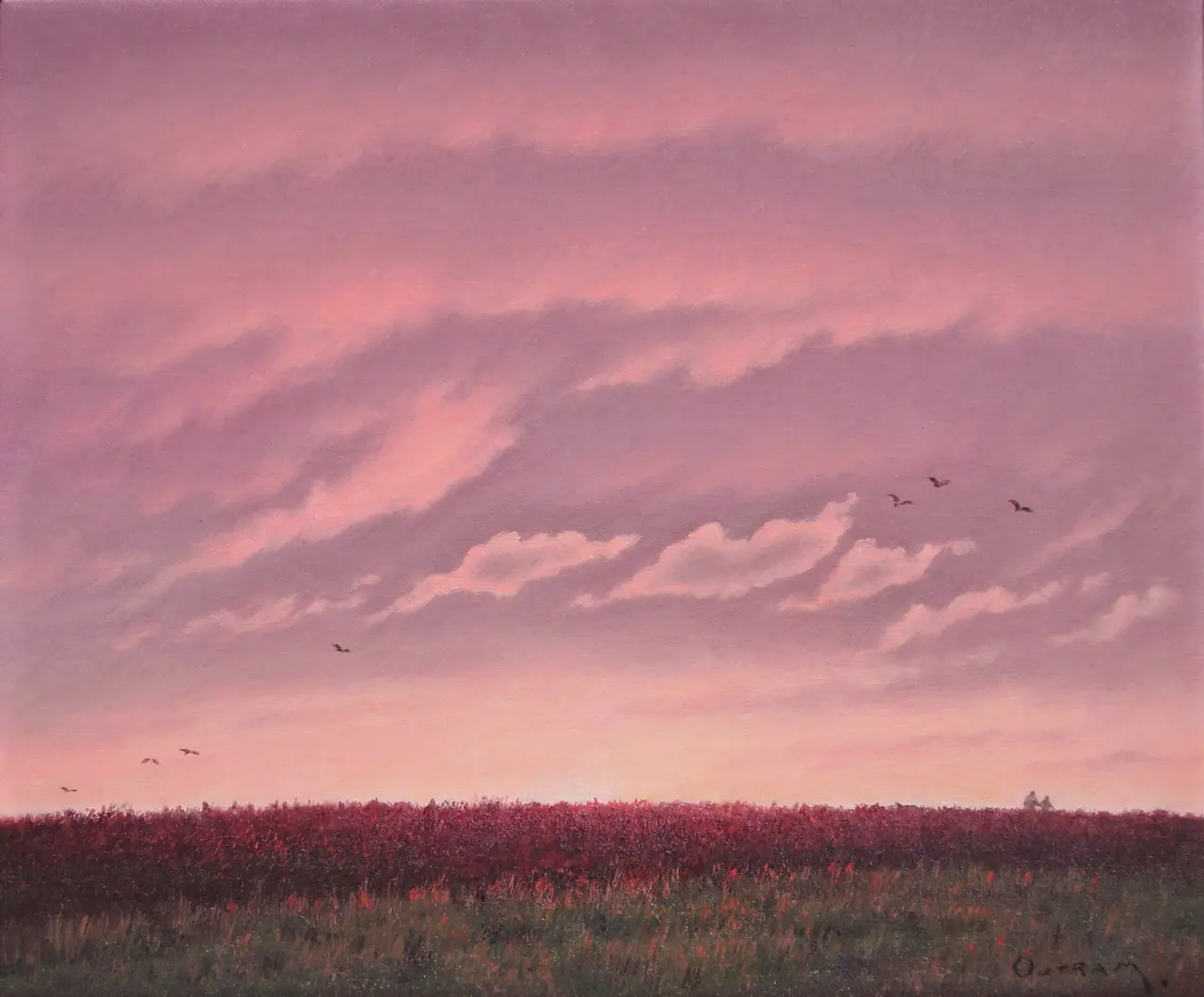Steven Outram - flight before night