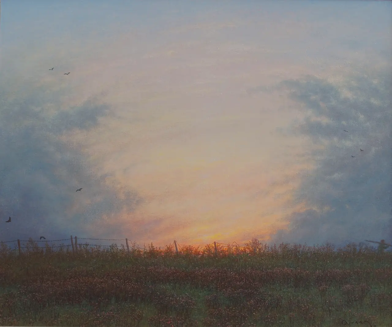 Steven Outram - revealing the light