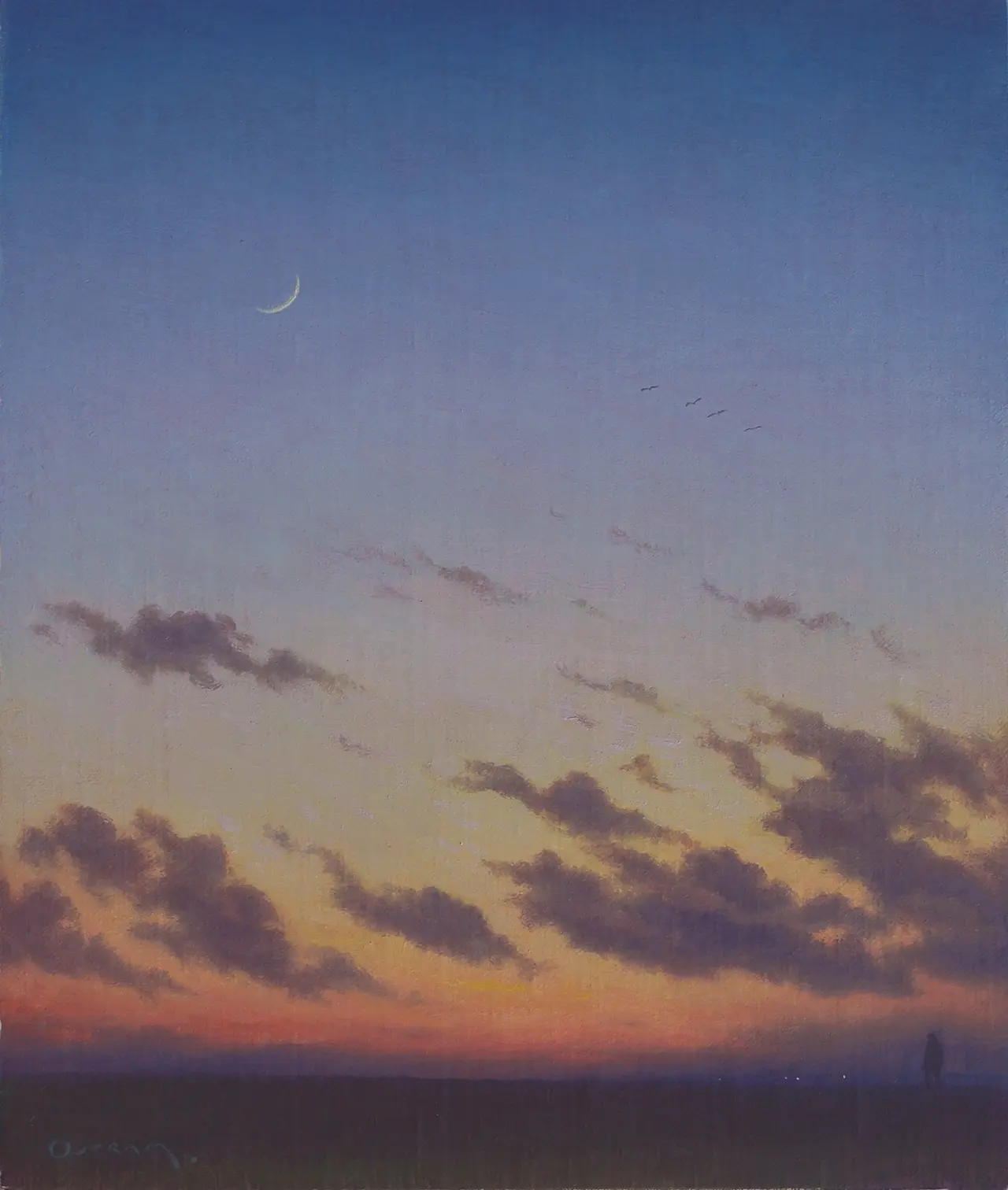 Steven Outram - the extra mile