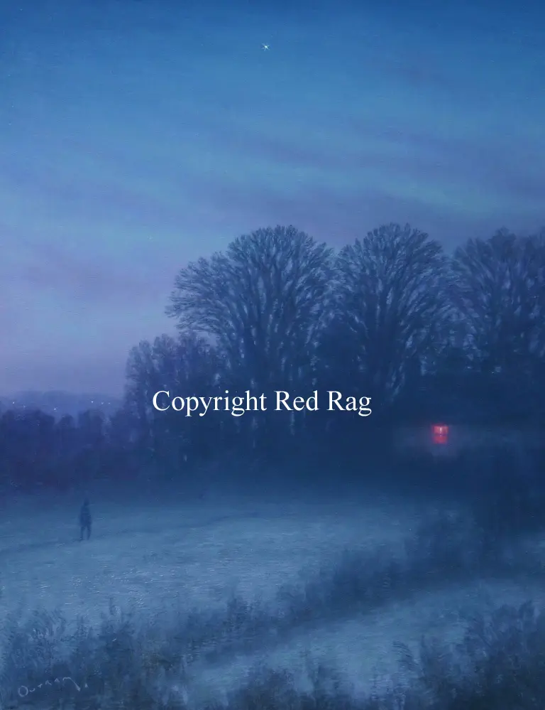 Steven Outram - the star and the window
