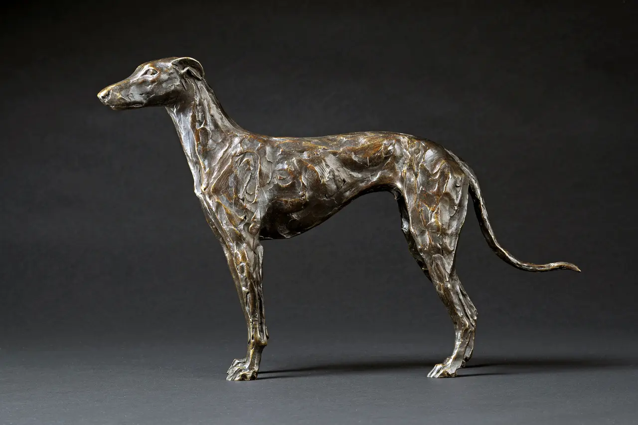 Stuart Anderson - standing greyhound (mojo) - edition 10/15