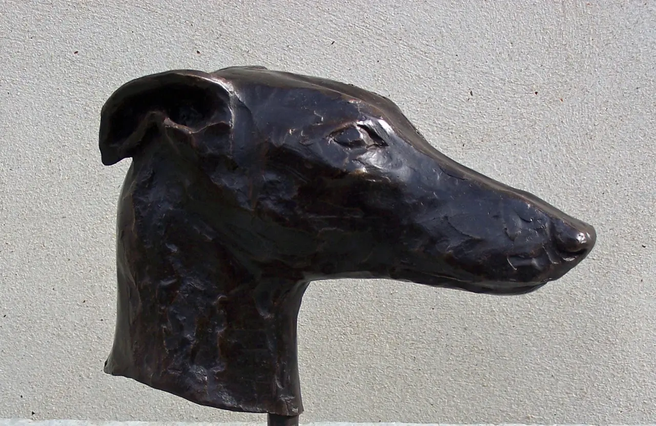 Stuart Anderson - greyhound head (mojo) 1/15