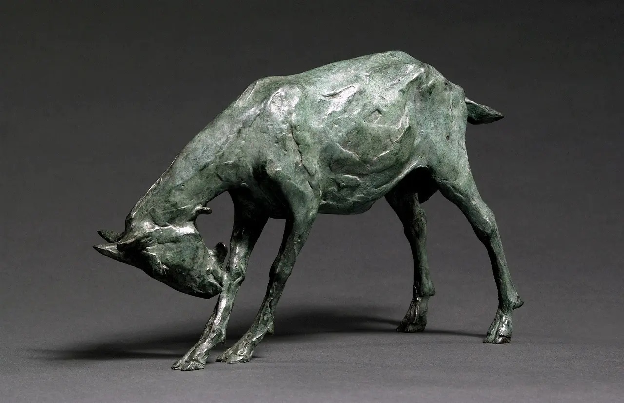 Stuart Anderson - goat (scratching front leg) 3/15