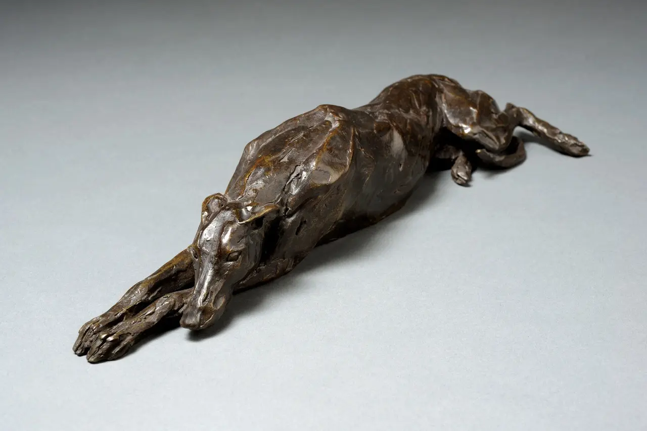 Stuart Anderson - lying greyhound-lurcher edition 9/15