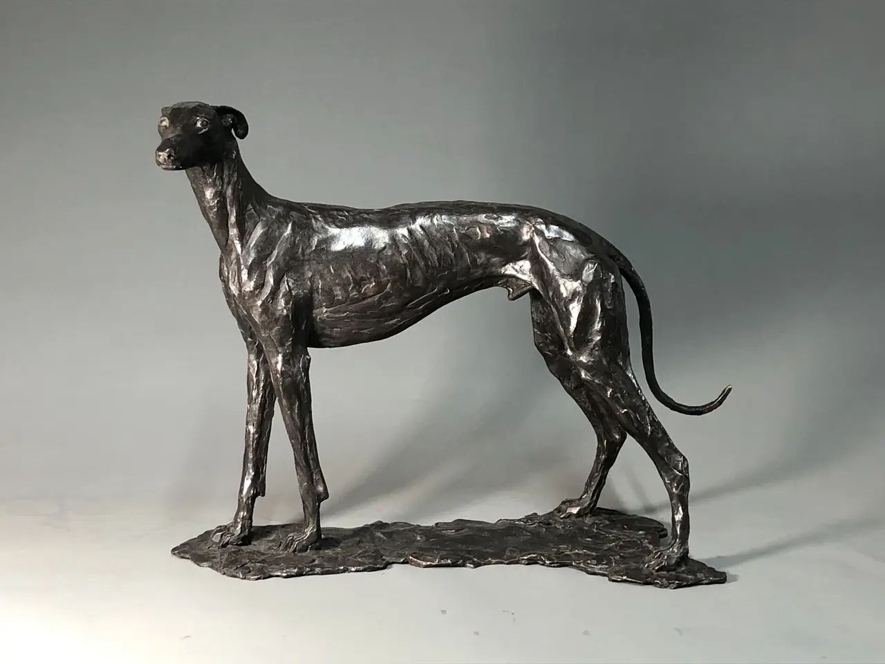 Stuart Anderson - spanish greyhound (galgo espanol) edition 1/15