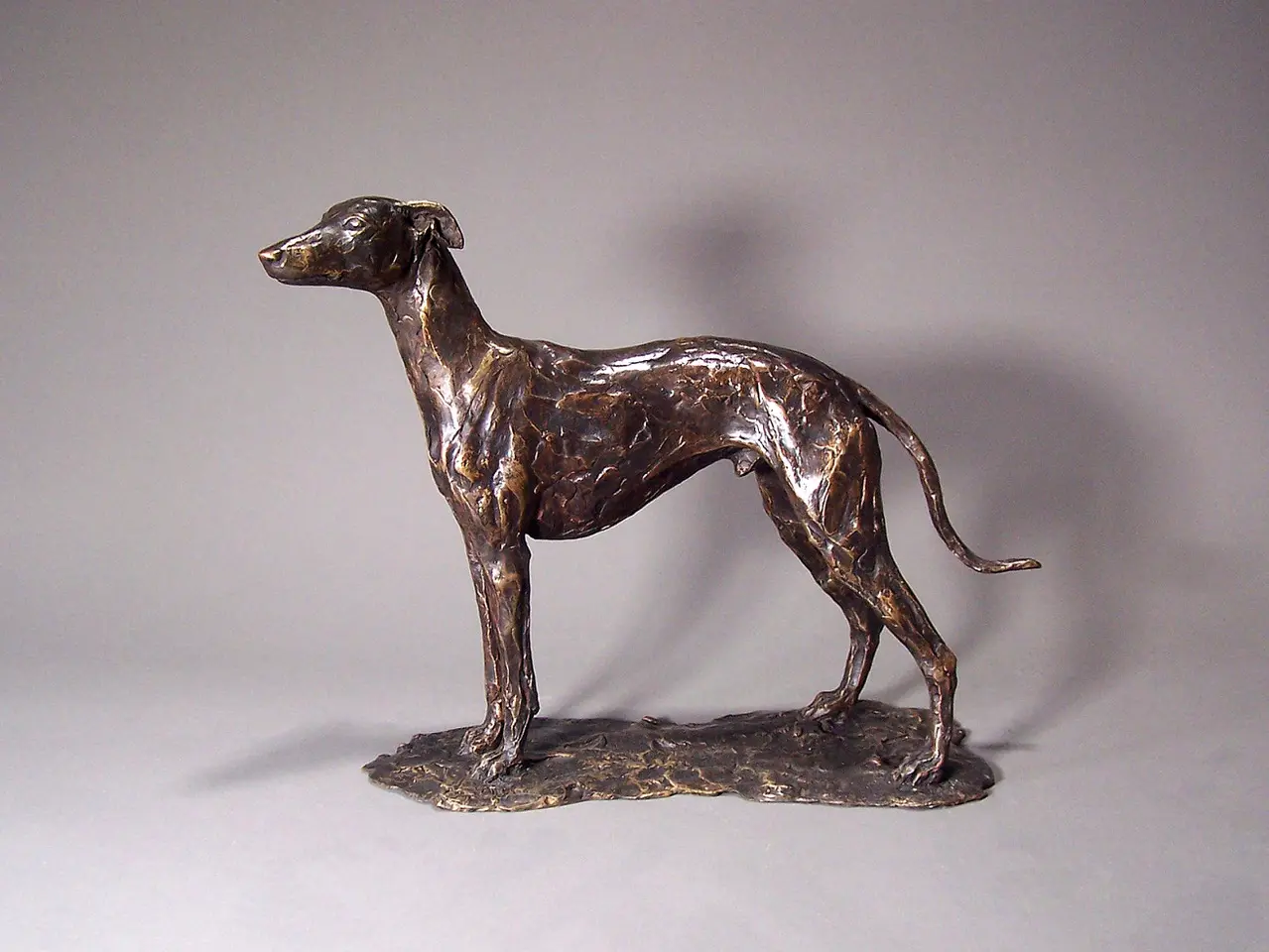 Stuart Anderson - standing whippet (1/15)