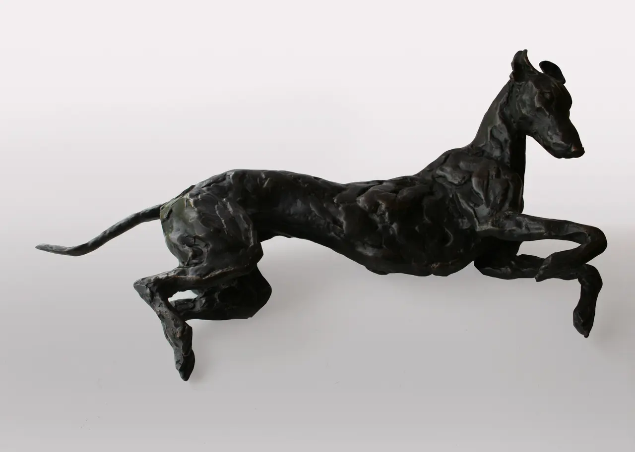 Stuart Anderson - rolling greyhound