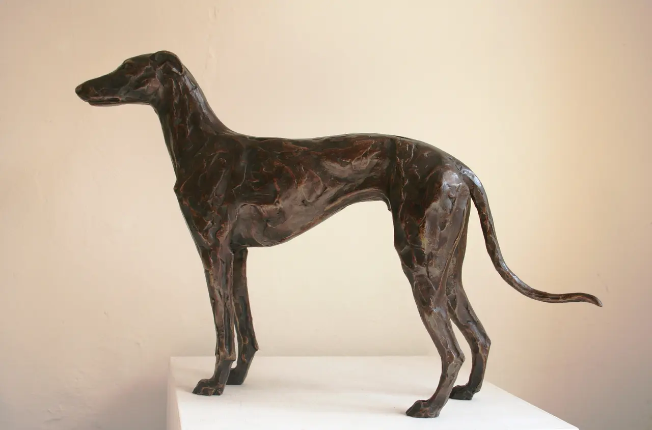 Stuart Anderson - standing greyhound (3/15)
