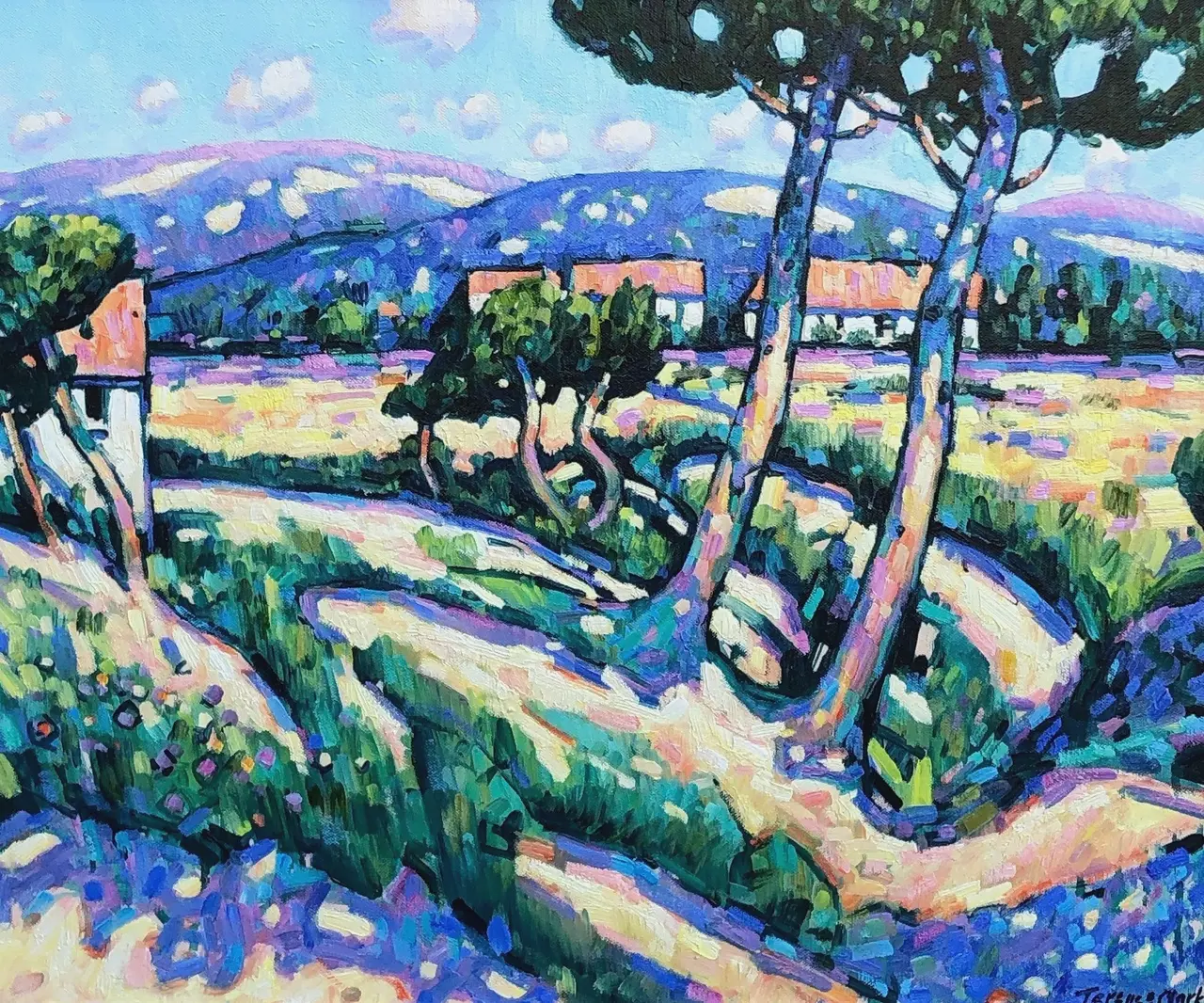 Terence Clarke - wild pines, provence