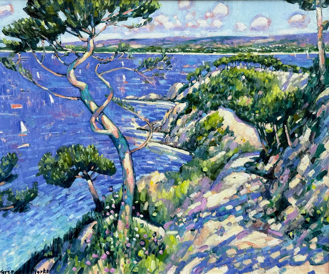 Terence Clarke - pines above st cyr