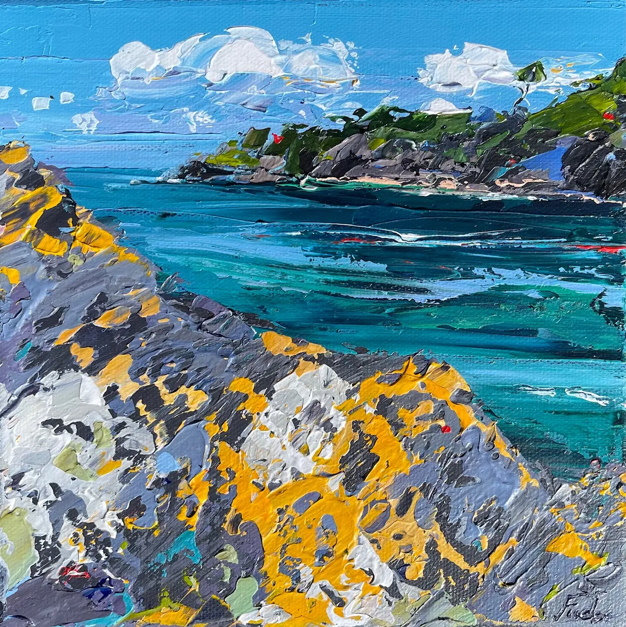 Tim Fudge - lichen shore, cwm yr eglwys