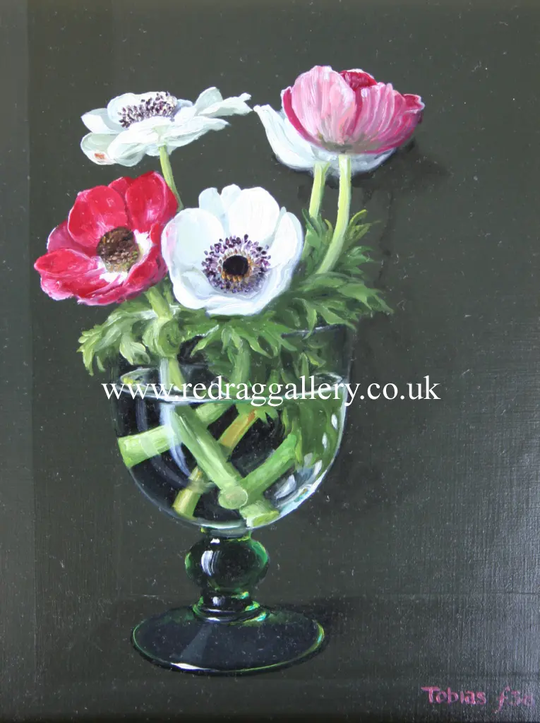 Tobias Harrison - anemone in a glass