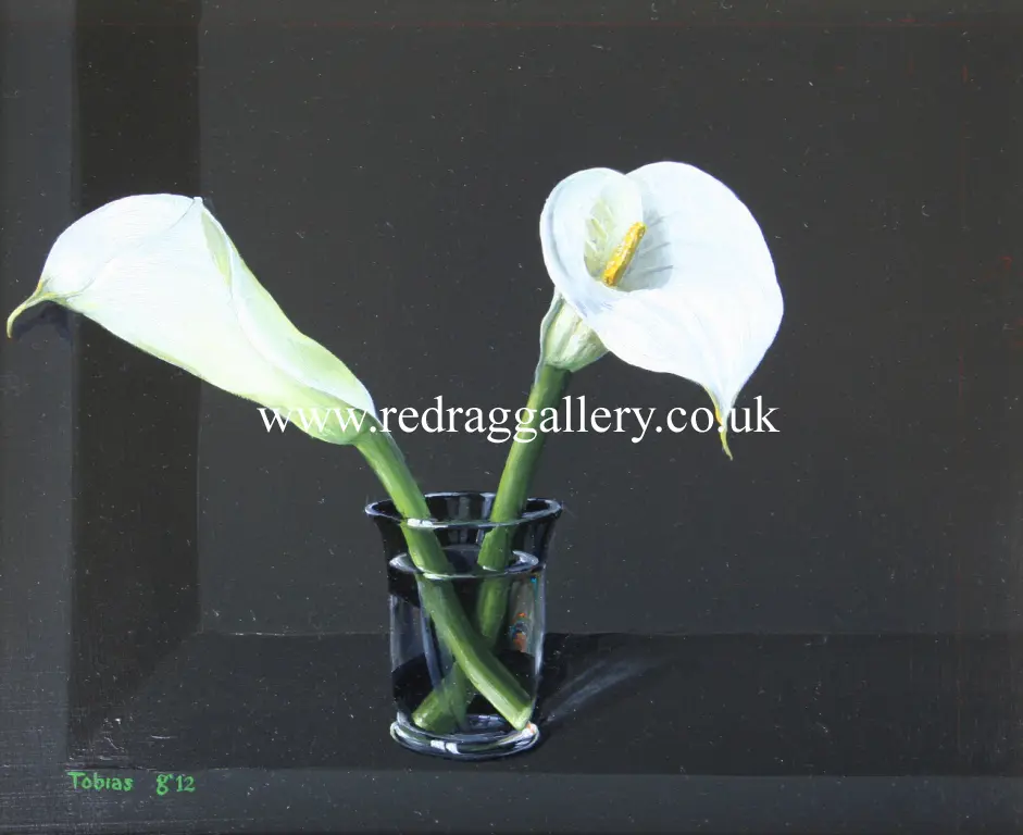 Tobias Harrison - arum lilies in a glass