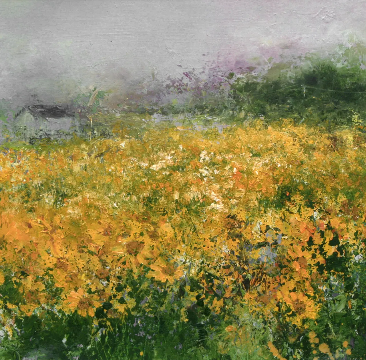 Amanda Hoskin - a field of sunshine, penwith, cornwall