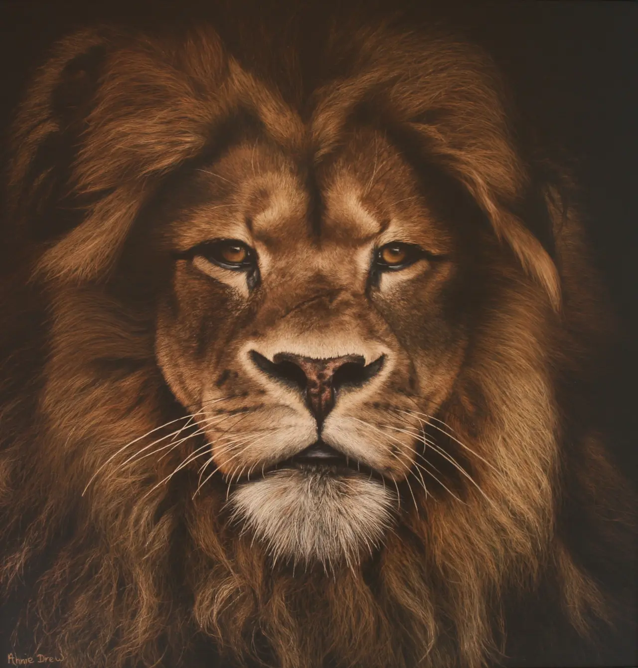 Annie Drew - lion