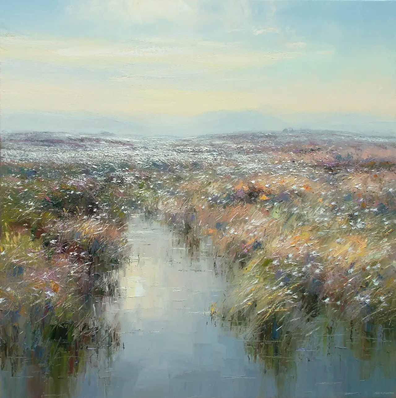 Rex Preston - cotton grass in the evening light, hallam moors
